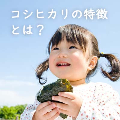 コシヒカリの特徴について調べる。滋賀県産コシヒカリの特徴とは？