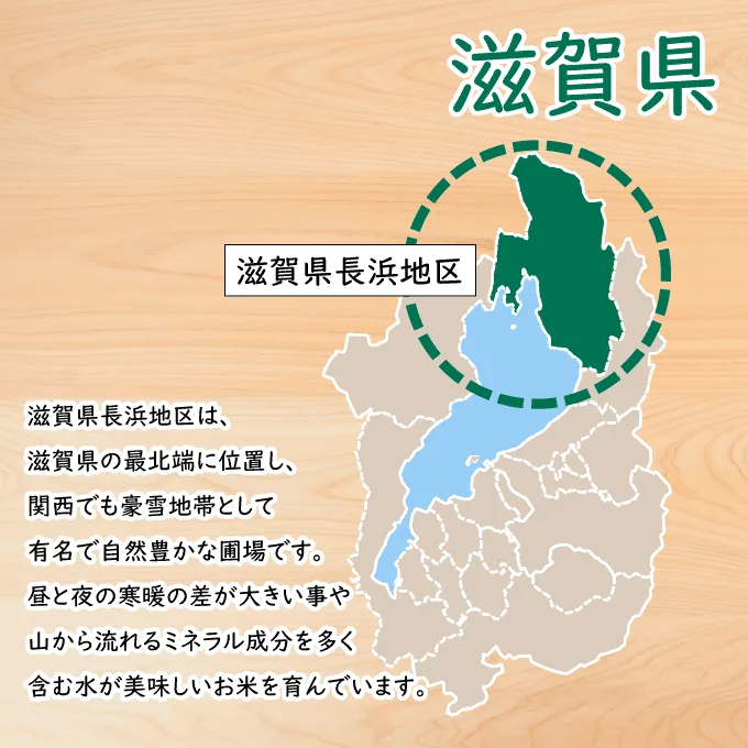 新米 滋賀県長浜産 にじのきらめき｜大粒で冷めても美味しいお米【令和
