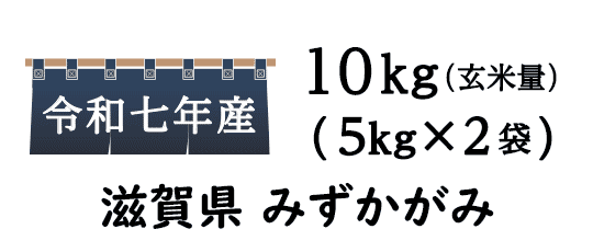 冷めても美味しい滋賀県オリジナル品種みずかがみ
