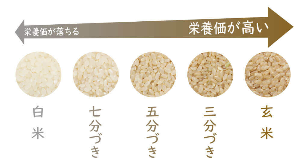 玄米は栄養価が高く食物繊維も豊富な為簡単なダイエット向き食品として人気です