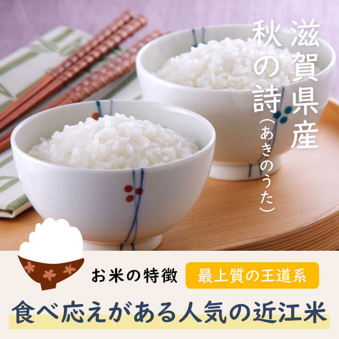 美味しいお米 令和4年 埼玉県産 白米 送料無料 コシヒカリ 20kg