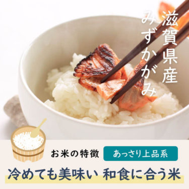 滋賀県オリジナル品種みずかがみの特徴は冷めても美味しく和食に合う事でしょう