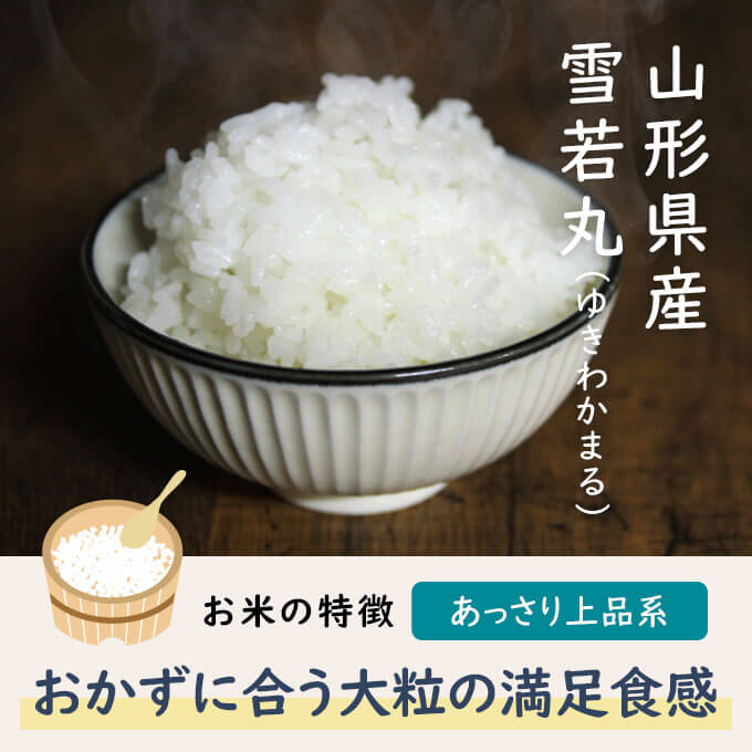 雪若丸というお米を知っていますか？山形県でつや姫の弟分として生まれた「大粒新食感」のお米なんです。