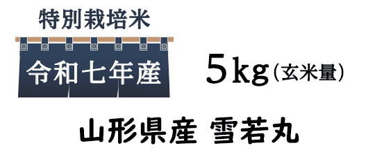 お米の特徴は粒が大きくしっかりしているのでカレーや丼ぶりなどご飯料理にぴったりなお米です