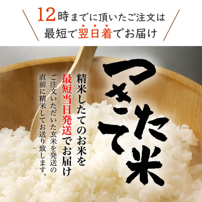 大人気の売れ筋お米たちは、精選した玄米を精米して、すぐに発送しております