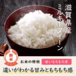 ミルキークイーンの特徴は甘みが強くもっちりとした食感でしょう